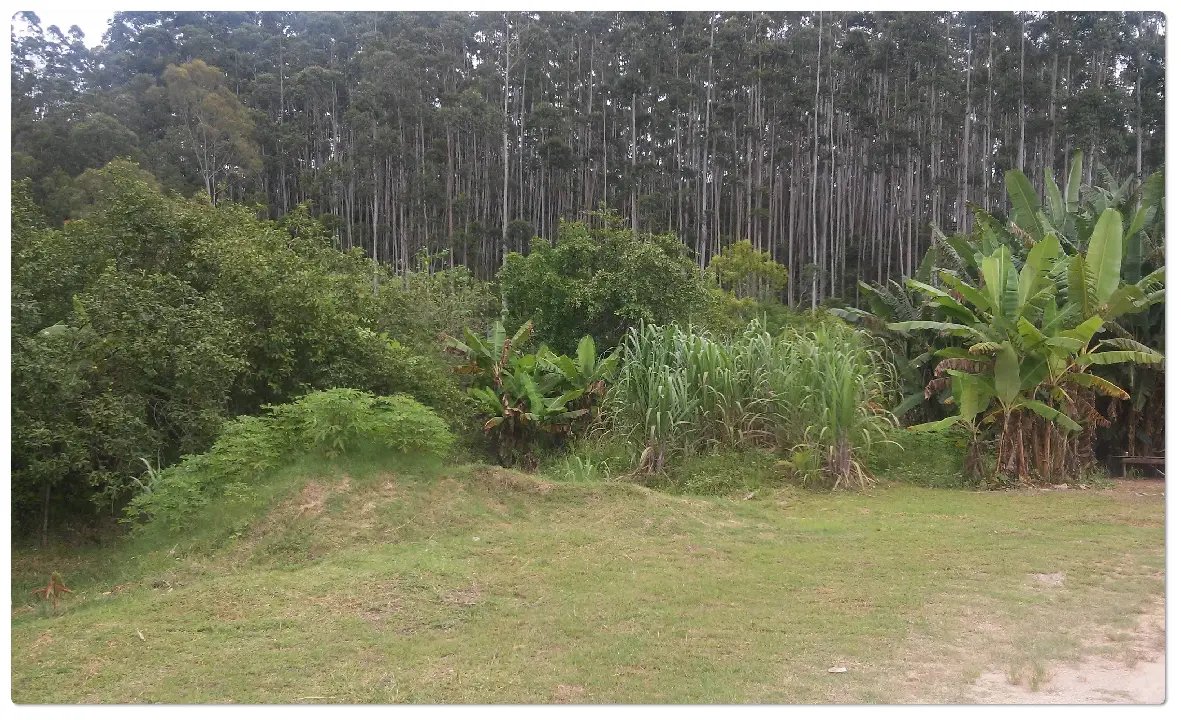 20170207_100057 - Copia - Copia.jpg