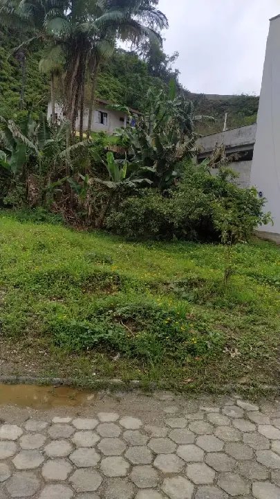 terreno claudemir 1.jpeg