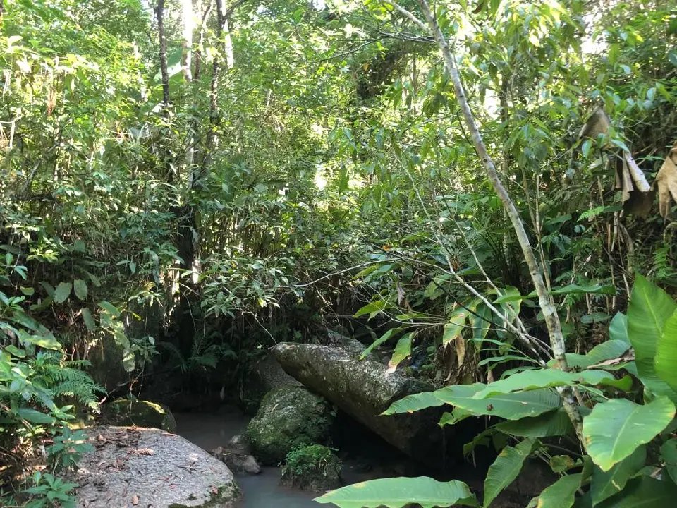 WhatsApp Image 2023-02-09 at 14.40.14 (12).jpeg