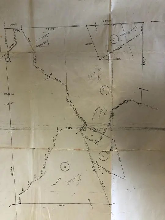 WhatsApp Image 2023-02-09 at 14.40.14 (21).jpeg