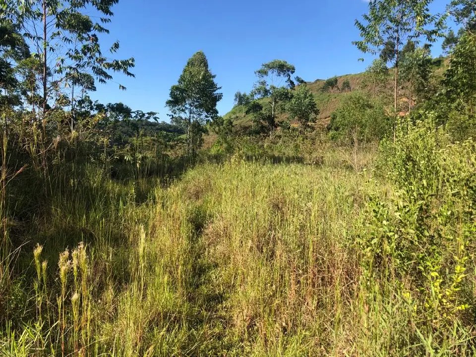 WhatsApp Image 2023-02-09 at 14.40.14 (5).jpeg