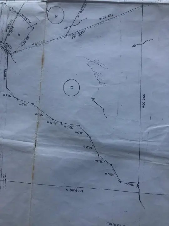 WhatsApp Image 2023-02-09 at 14.40.14 (20).jpeg