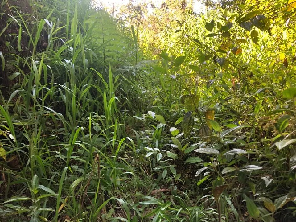 WhatsApp Image 2023-02-09 at 14.40.14 (7).jpeg