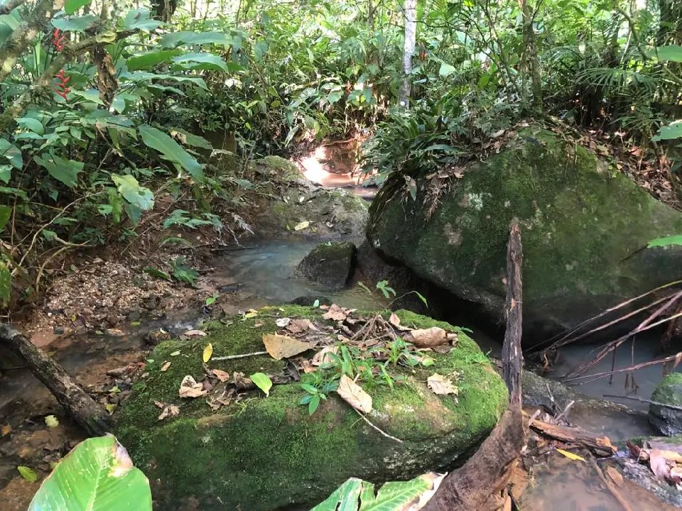 WhatsApp Image 2023-02-09 at 14.40.14 (9).jpeg