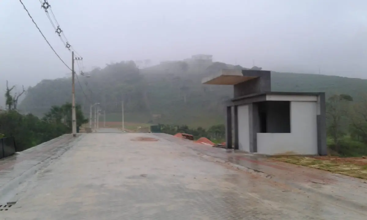 hortencia 2.jpeg