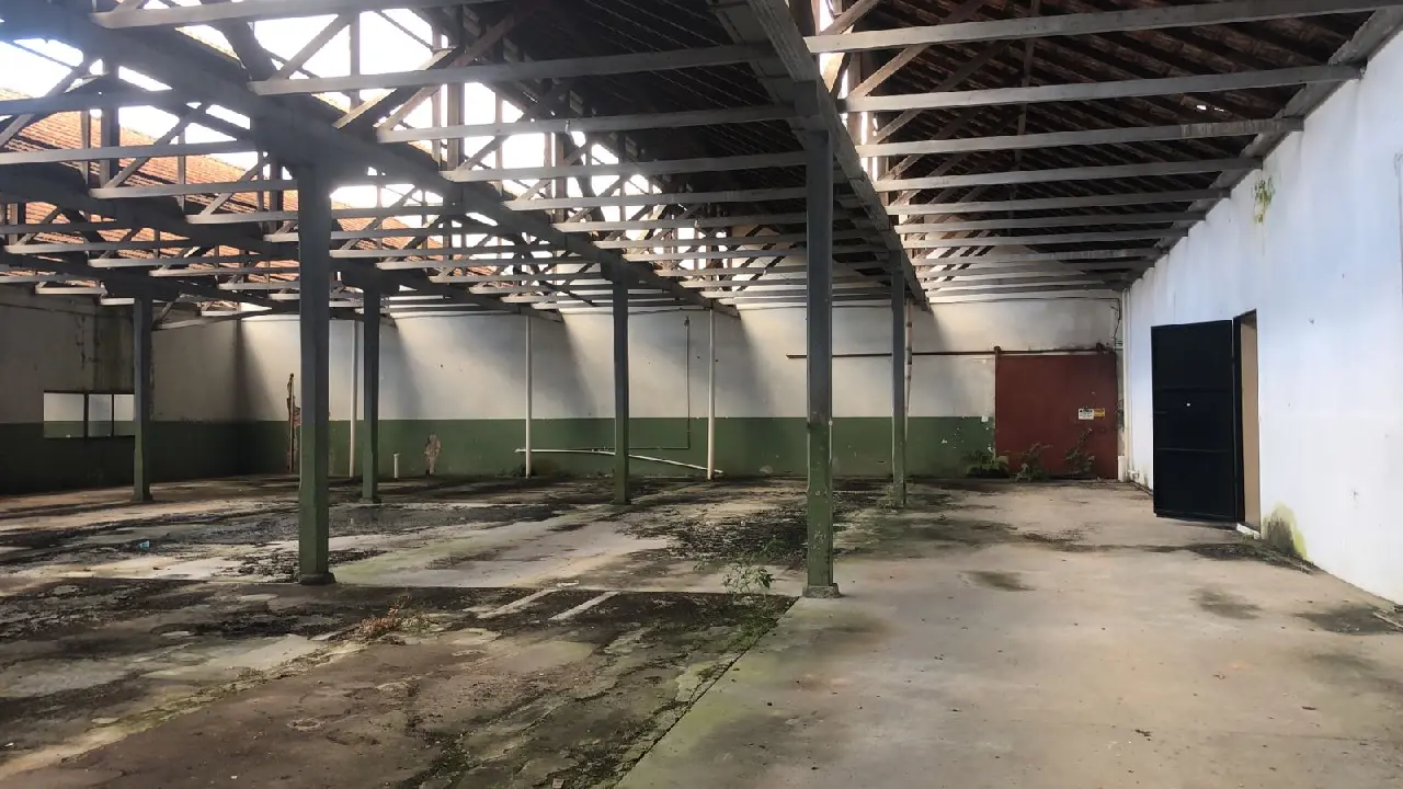 fc5a40b0-34e2-4521-910c-111841b73f0a.jpg