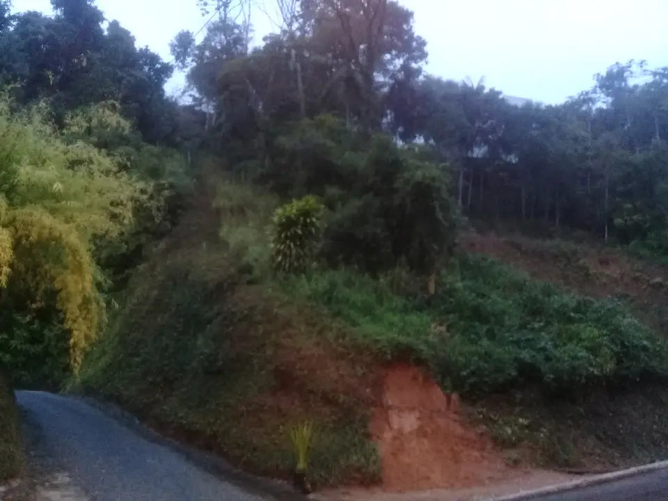 20200610_171925.jpg