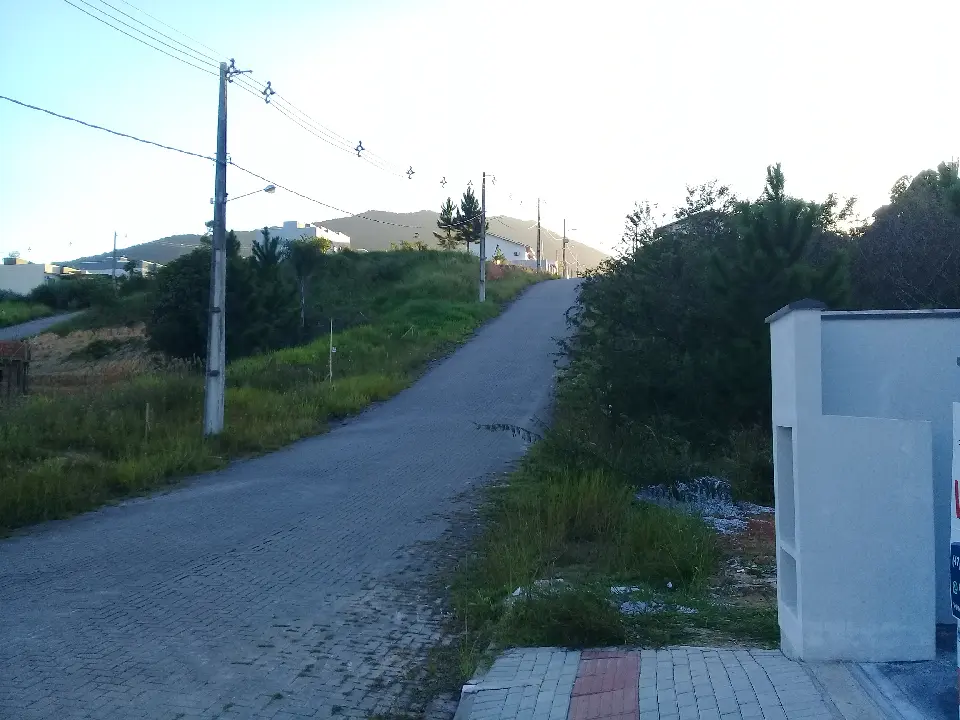 20200420_171239.jpg