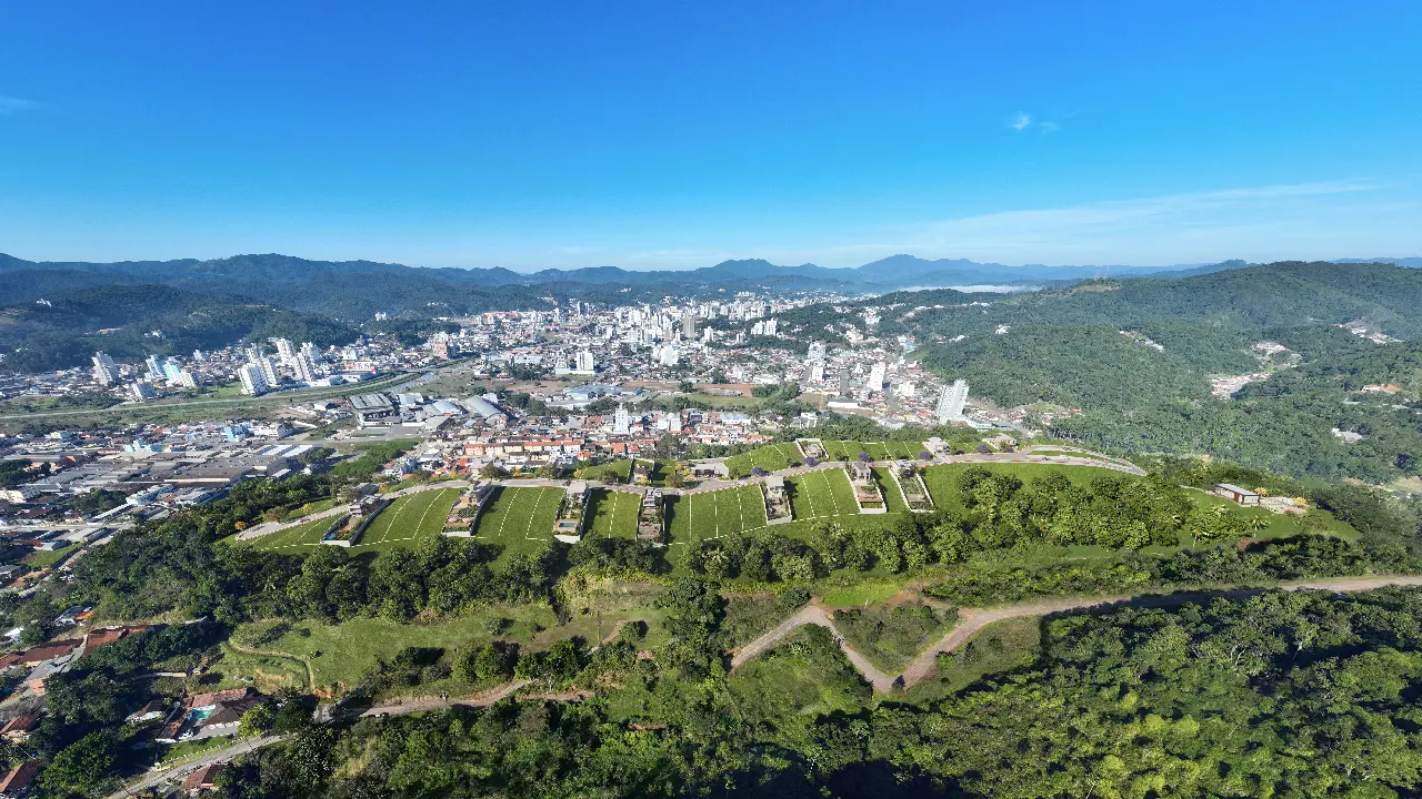 Aerea (4)