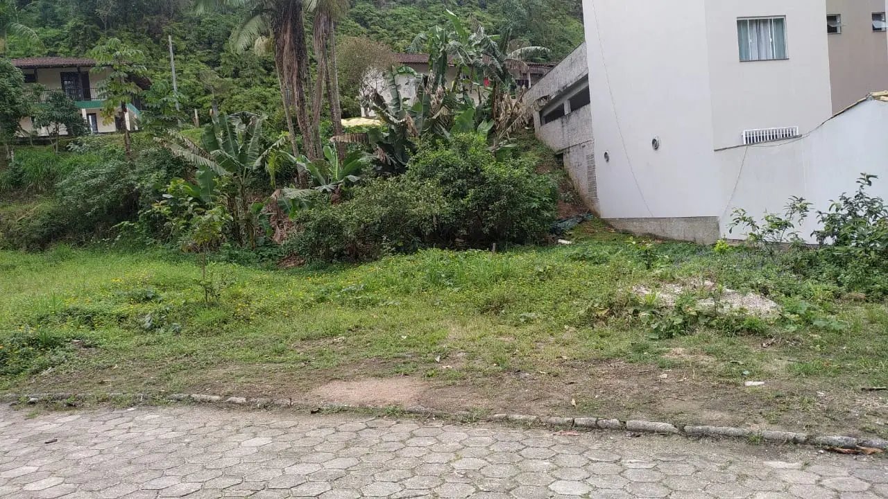 terreno claudemir 3.jpeg