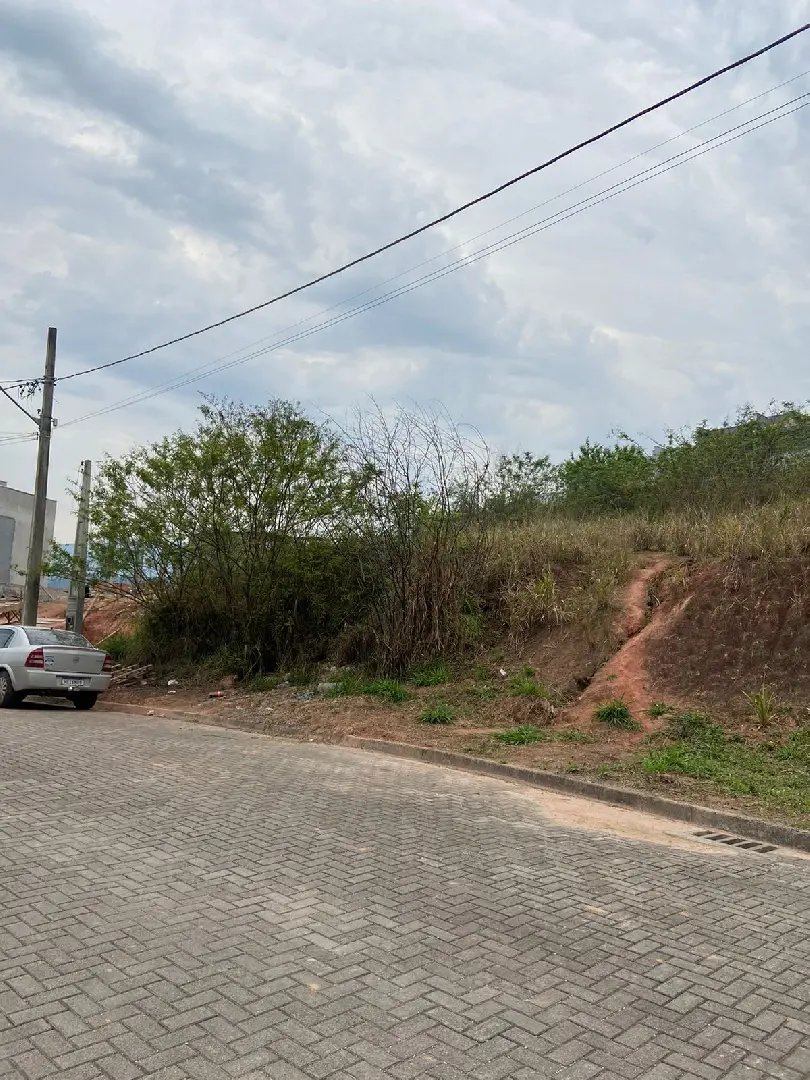 WhatsApp Image 2022-11-15 at 16.38.00.jpeg