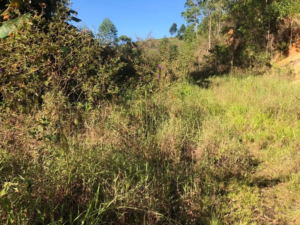 WhatsApp Image 2023-02-09 at 14.40.14 (3).jpeg