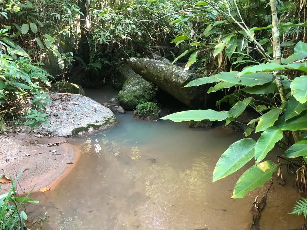 WhatsApp Image 2023-02-09 at 14.40.14 (11).jpeg