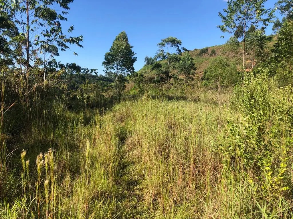 WhatsApp Image 2023-02-09 at 14.40.14 (5).jpeg