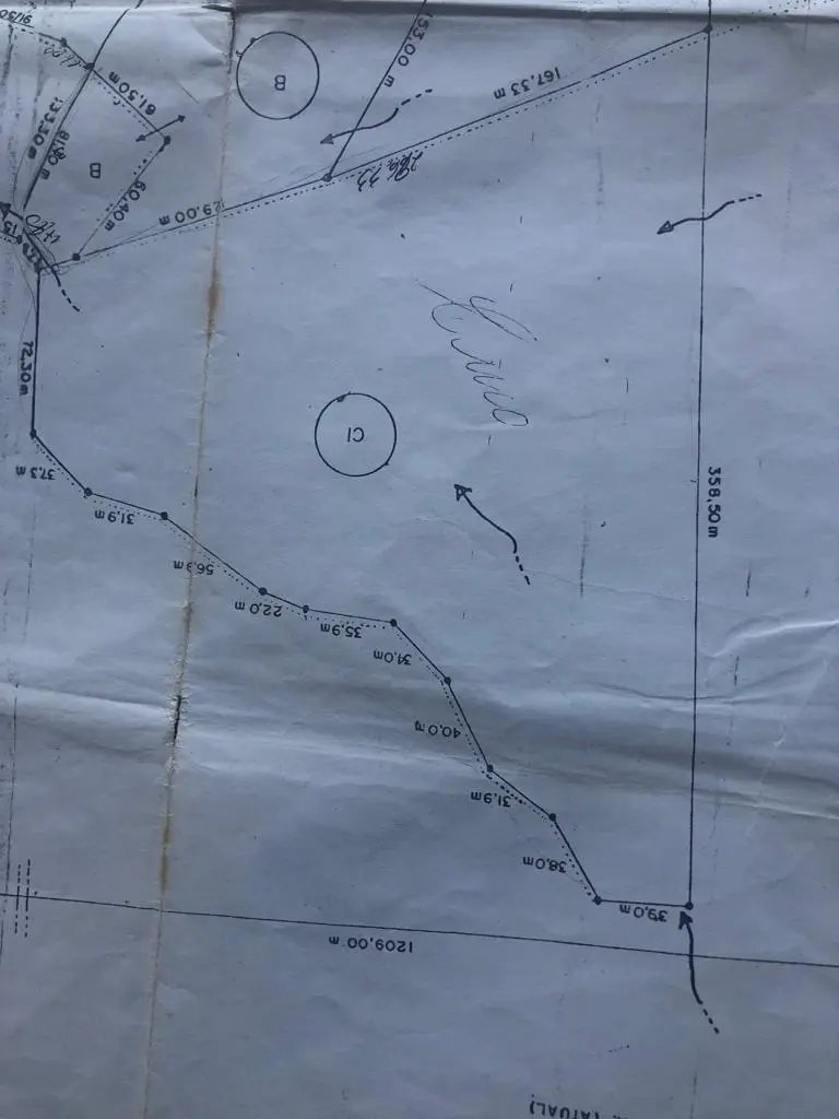 WhatsApp Image 2023-02-09 at 14.40.14 (20).jpeg