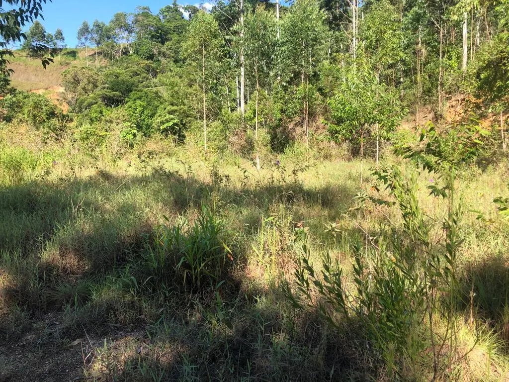 WhatsApp Image 2023-02-09 at 14.40.14 (6).jpeg