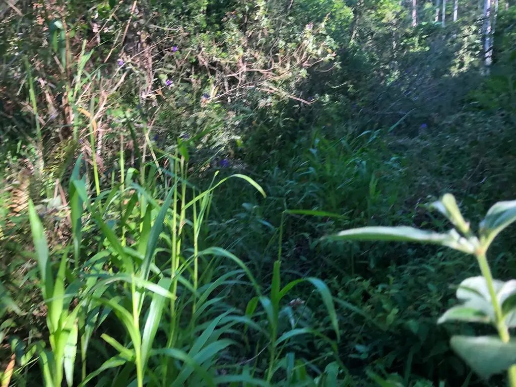 WhatsApp Image 2023-02-09 at 14.40.14 (8).jpeg