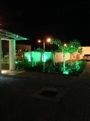 WhatsApp Image 2021-02-11 at 5.41.57 PM.jpeg