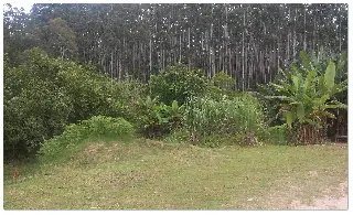 20170207_100057 - Copia.jpg