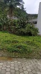 terreno claudemir 1.jpeg