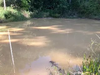 WhatsApp Image 2023-02-09 at 14.40.14 (14).jpeg