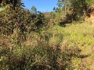 WhatsApp Image 2023-02-09 at 14.40.14 (3).jpeg