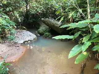 WhatsApp Image 2023-02-09 at 14.40.14 (11).jpeg