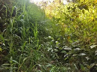 WhatsApp Image 2023-02-09 at 14.40.14 (7).jpeg