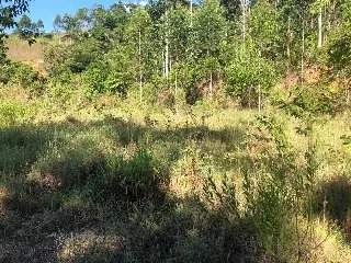 WhatsApp Image 2023-02-09 at 14.40.14 (6).jpeg