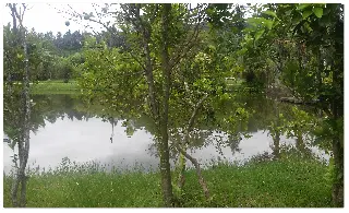 20170207_100912.jpg