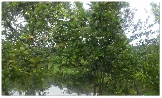 20170207_100858.jpg