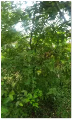 20170207_100815.jpg