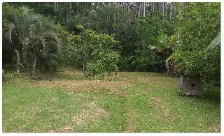 20170207_100947.jpg