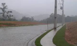 hortencia 3.jpeg