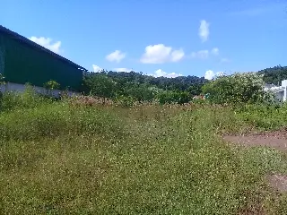 20200213_094304.jpg