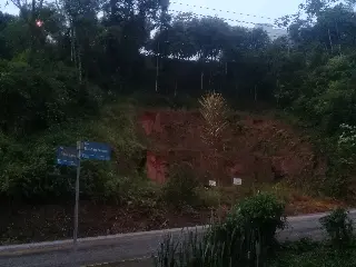 20200610_172007.jpg