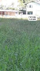 IMG-20210208-WA0052.jpg