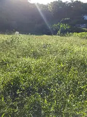 IMG-20210208-WA0054.jpg